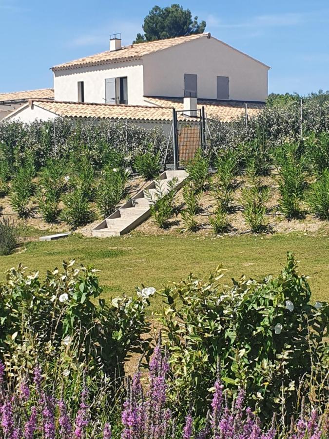 Onze Villa In Provence, Mont Ventoux, New Luxury Villa, Private Pool, Stunning Views, Outdoor Kitchen, Big Green Egg Malaucene Ngoại thất bức ảnh